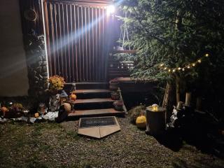 Chalet Glasul Padurii - 5