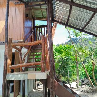 BING-VICE Tourist Inn - 5