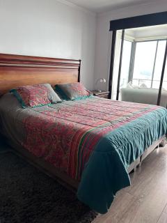 Viña del mar vista hermosa - 6