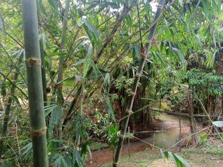 Ploy Chumpoo Lanta - 4