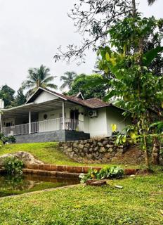 Avocado Orchards - Villa - 2