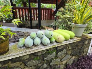 Nellu- Courtyard Poolvilla Organic Farmstay - 5