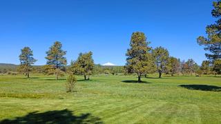 Meadows Retreat 226 - 7