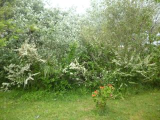 Spacious and bright house steps from the beach - 6