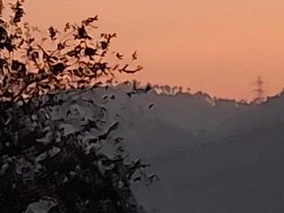 Sultan Resorts 7 star Luxurious accommodations - 1