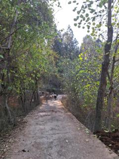 Sultan Resorts 7 star Luxurious accommodations - 2