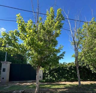 Casa estilo loft en chacras de Coria con gran jardín - 1