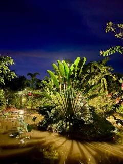 Muong Dinh Lodge - 7