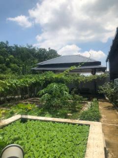 Khách sạn long hải -  - 4