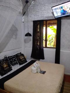 Two crazy monkeys - 3