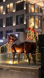 The Purple Horse Hotel Beijing - 1