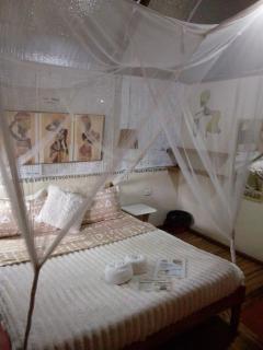 Two crazy monkeys - 6