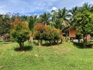 Khao Sok Evergreen House - 1