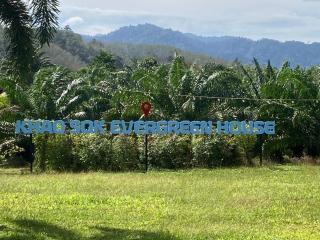 Khao Sok Evergreen House - 9