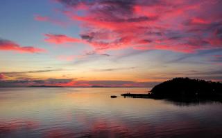 Three Palms - Beach Front Tiny House by SP Villa - 4