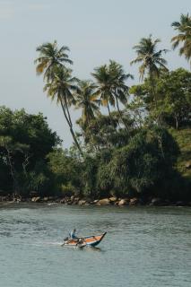 Into The Blue - Yoga included & walk to 3 beaches - 4