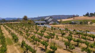 Coplan Vineyards by AvantStay 10-Acre Estate w Pool Spa Bocce Designer Interiors - 9