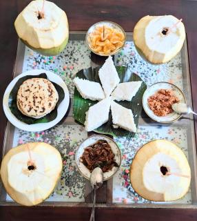 Villa serene galle - 8