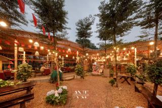 Scenic Mountain Ecolodge Ninh Binh - 8