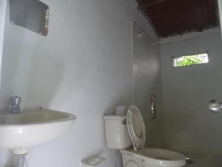 Dogsheltercafepalomino - 8