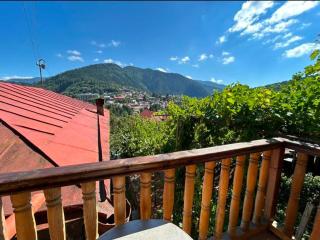 Mountain Garden Cottage - 8