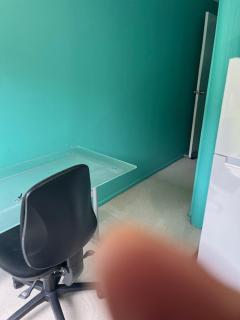 Sleepout with separate pantry and own bathroom - 1