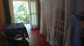 Jungle guest ,Mirissa - 4