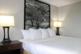 Super 8 by Wyndham Williston ND - 3