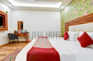 Olivia Hotels - Delhi Airport - Nuova Delhi - 6