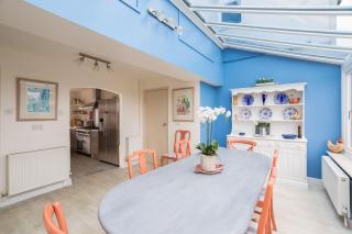 Snow Goose - Bosham - 3