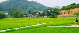 Diều Sóc Sơn - 1