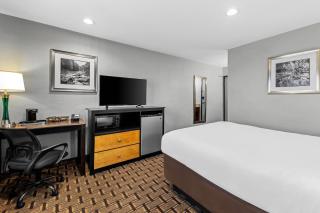 Quality Inn - Denton - Denton - 1