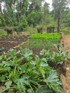 Berghouse and Cottages - 9