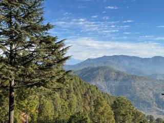 Shantiniketan Mountain Home - 5