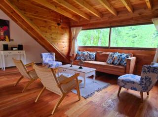 Casa Familiar Pellaifa - 6