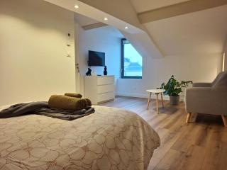 La Parenthèse Rabelaisienne - 2