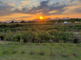 LeLaNa Farmstay Camping - Ban Nong Chaeng - 8