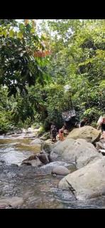 Cheap Sumatra Trekking 2 day 1 night - 8