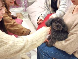 一棟貸しゲストハウス マリドール - 4