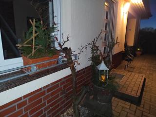 Ferienwohnung Im Grünen - 5