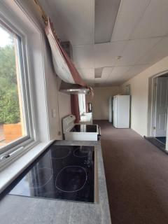 Adelaide Free Souls - 1