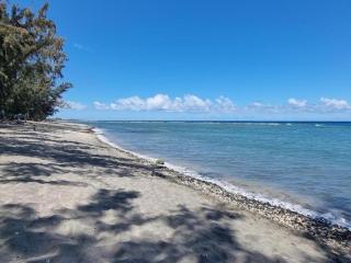 Port de saint leu location Bateau avec skyper 2H o693-40-58 - 9