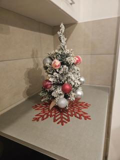 Jovana stan na dan Pale - 6