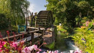 Séjour idyllique normand - Appartement cosy à 5 min de la plage - Veules-les-Roses - 4