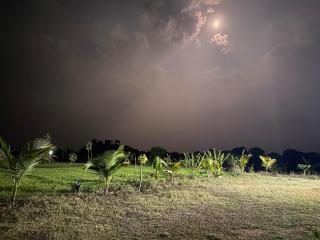 Jera farmhouse & Lakeside stay - 1