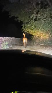 Jera farmhouse & Lakeside stay - 7