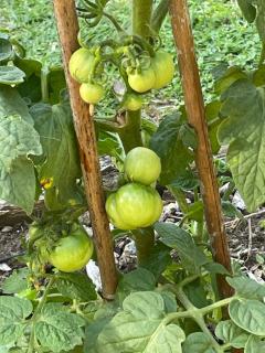 The Amazing Place NZ - 7