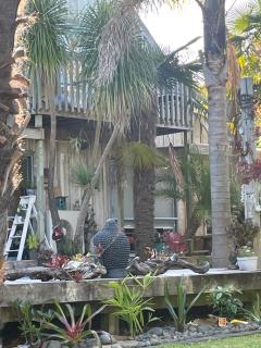 The Amazing Place NZ - 1