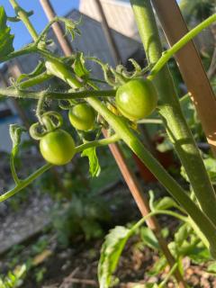 The Amazing Place NZ - 4