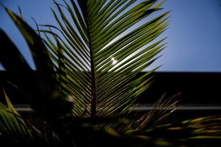 Villa Milla ONNA - 4